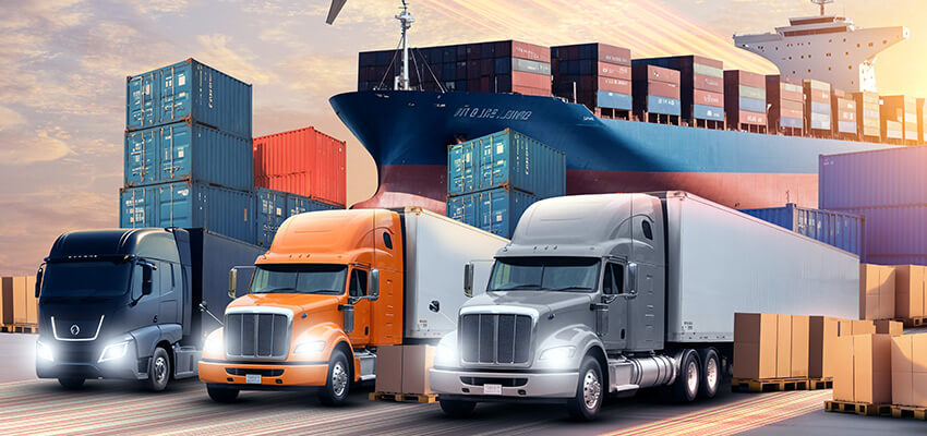 LCL Sea Freight Import-Export Service